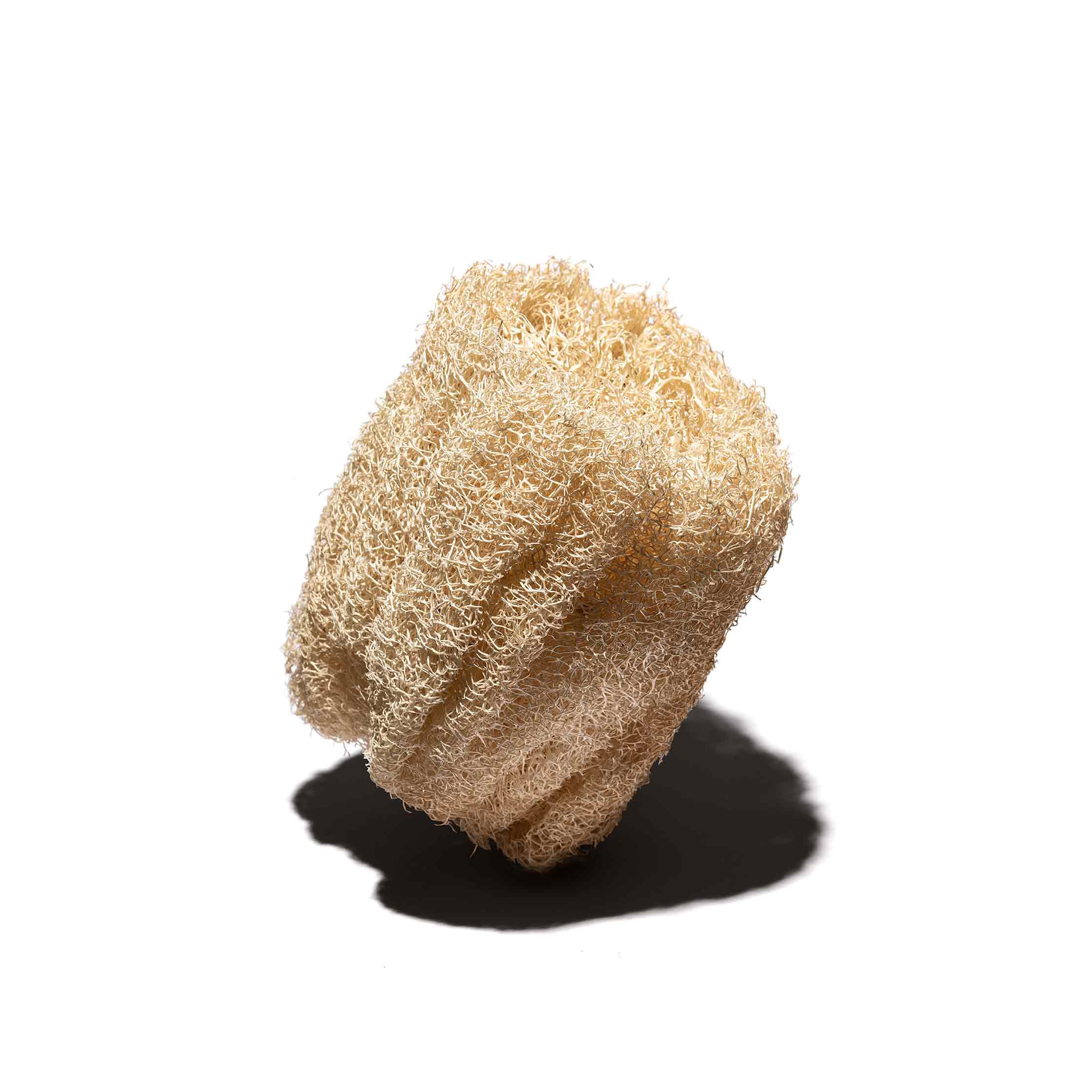 Luffa