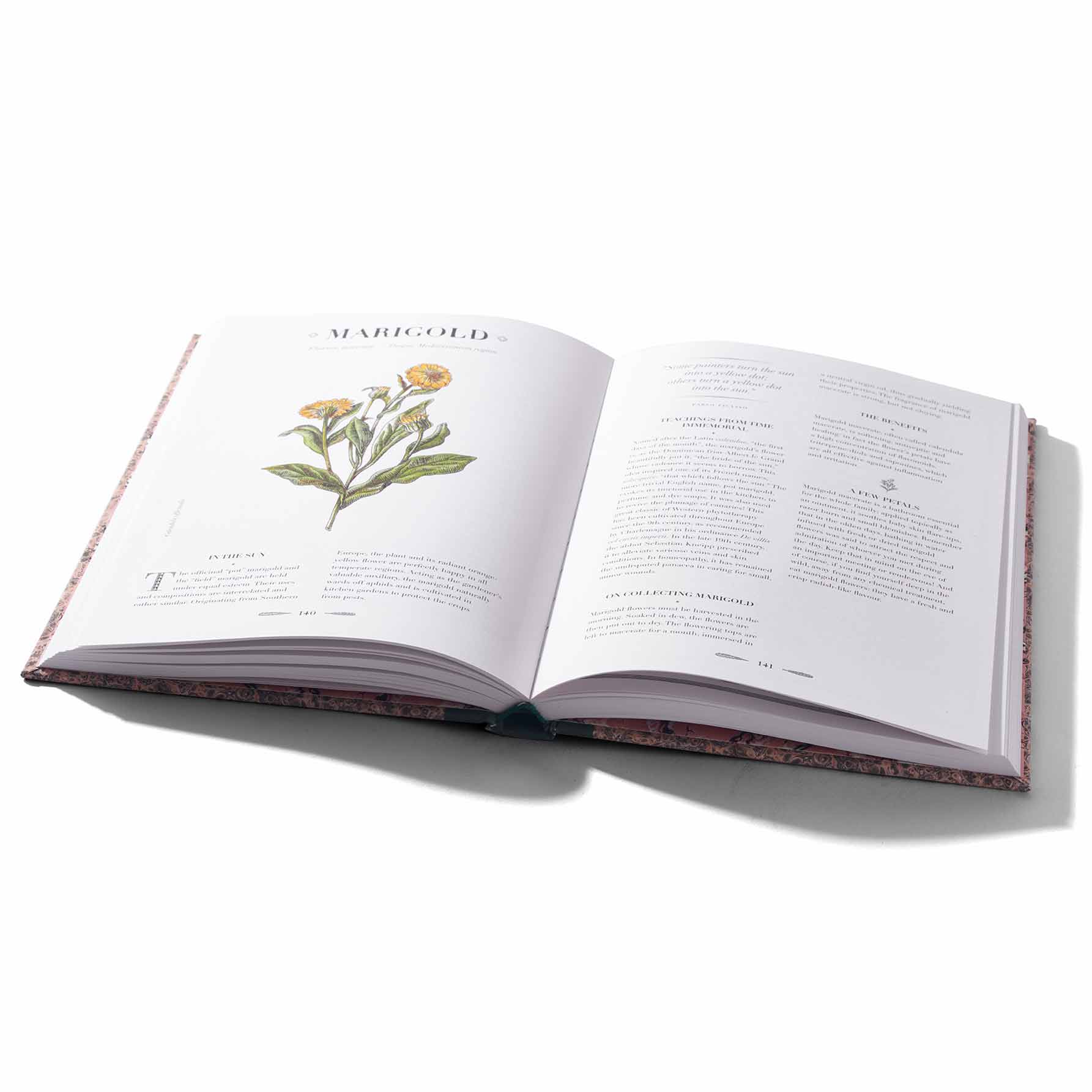 Atlas Naturalnego Piękna
