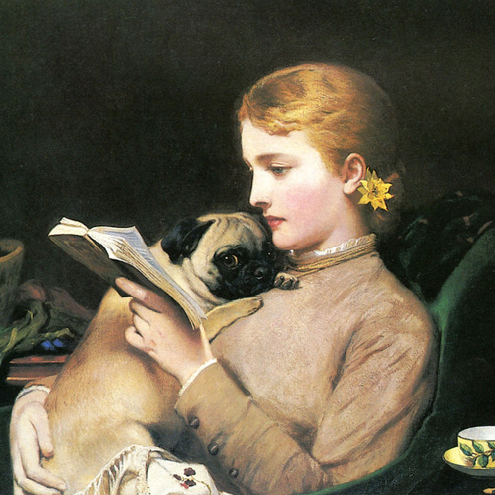 Lecture savante de saison