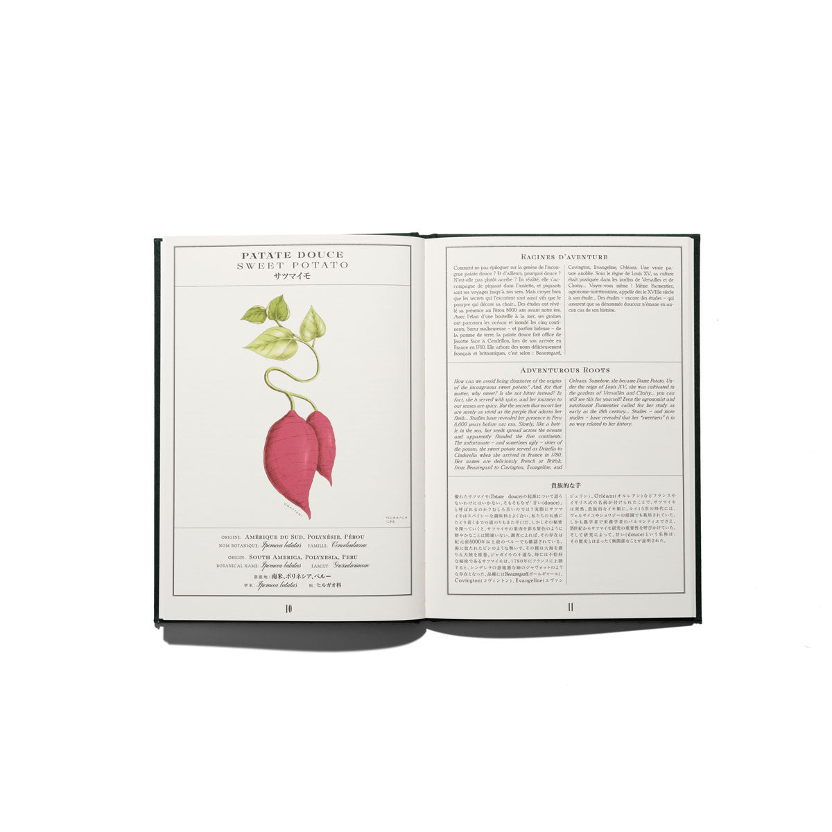 L’Herbier Odoriférant de l’Officine Universelle Buly