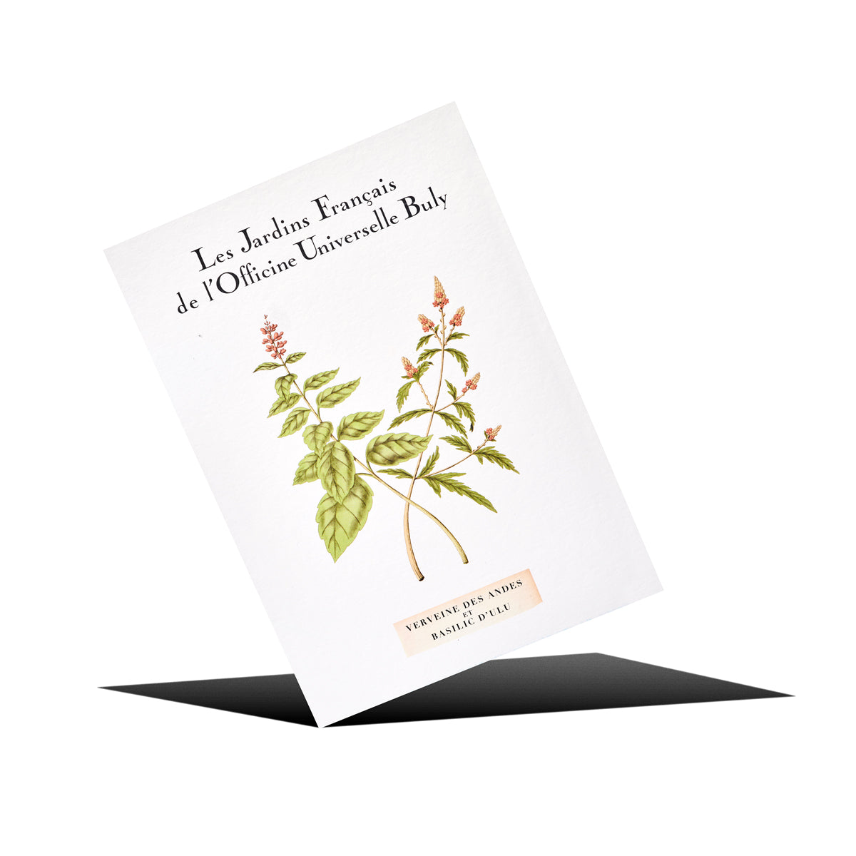 Cartolina Profumata Verbena delle Ande e Basilico di Ulu
